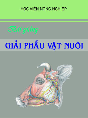 39 Giai phau vat nuoi