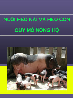 45 Nuoi heo nai va heo con quy mo nong ho