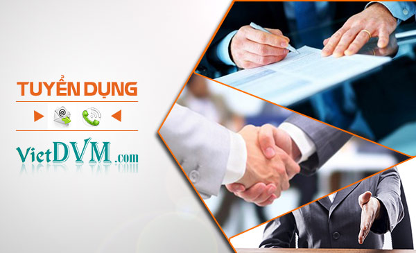 Tập đoàn Mavin tuyển dụng nhân sự