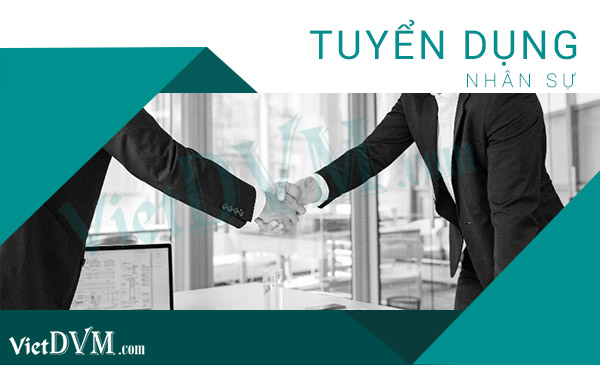 Công ty CP Bel gà tuyển dụng nhân viên sales admin