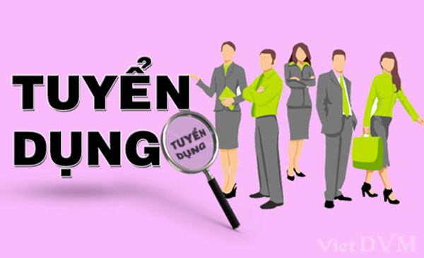 Công ty TNHH Thương mạiI HQ – VINA Việt Nam Tuyển dụng nhân sự mới