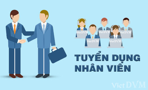 Công ty TNHH Sunjin Vina tuyển dụng