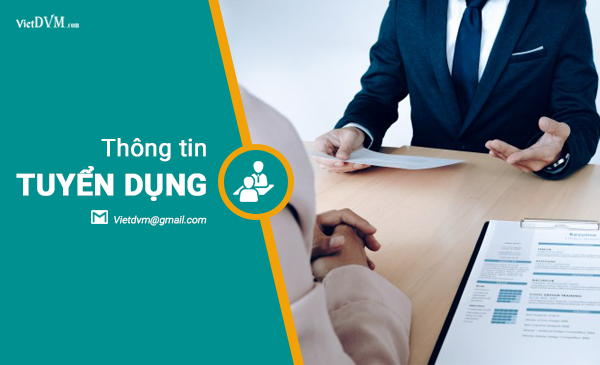 Tập đoàn Grimaud tuyển dụng kỹ thuật thị trường 