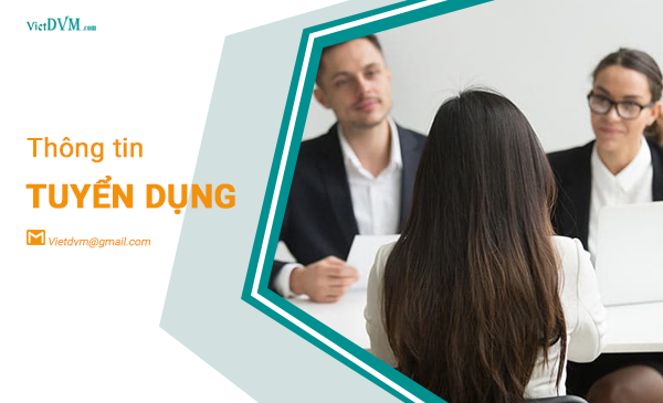 Công ty cổ phần Thái Việt Corporation tuyển dụng