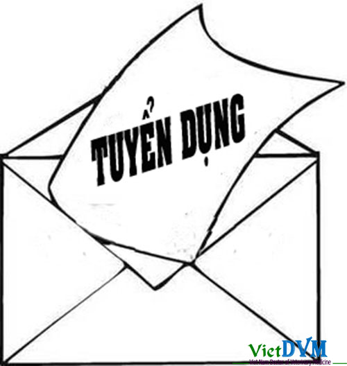 Công ty B.H.N tuyển dụng nhân viên kinh doanh