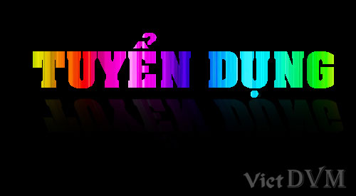 tuyen dung 7