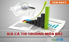 Giá cả thị trường miền Bắc tuần 27 năm 2016 (27/06 - 03/07/2016)