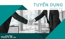 [Cập nhật] Công ty Kaizen tuyển dụng nhân sự mới