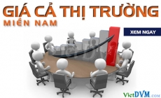 Giá cả thị trường miền Nam tuần 37 năm 2016 (05 - 11/09/2016)