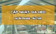 Giá heo hơi tại Vũ Quang - Hà Tĩnh ngày 05-10-2016