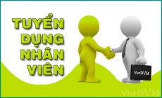 Công Ty TNHH Vimark tuyển dụng