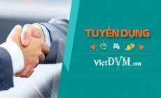 Công ty Inovet Indochine tuyển đại diện ở Việt Nam