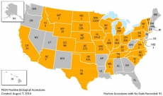 Mỹ có 7.987 trang trại dương tính với PED
