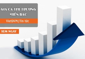 Giá cả thị trường miền Bắc tuần 08 năm 2016 (15 - 21/02/2016)