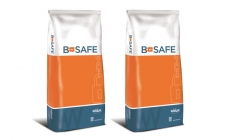 B-Safe quản lý sức khỏe đường ruột nhằm tối ưu hóa năng suất vật nuôi