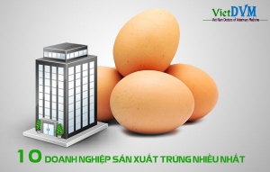 Top 10 doanh nghiệp sản suất trứng lớn nhất thế giới