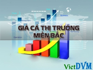 Giá cả thị trường miền Bắc tuần 52 năm 2015 (20/12 - 26/12)