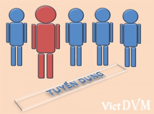 Tuyển dụng KCS, quản lý sản xuất và nhân viên kinh doanh