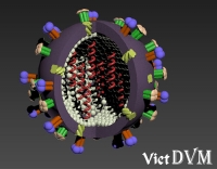 [Video] Cấu trúc virus cúm gia cầm