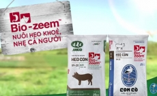 Công ty con ANCO của Masan MeatLife lỗ 468 tỷ đồng năm 2019