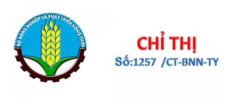 Chỉ thị về việc tập trung phòng chống dịch cúm gia cầm và các chủng virus cúm gia cầm lây sang người