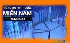 Giá cả thị trường miền Nam tuần 38 năm 2016 (12 - 18/09/2016)