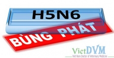 Bệnh cúm gia cầm (H5N6) diễn biến phức tạp ở Thái Bình