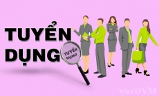 [Cập nhật] Công ty SVT Thái Dương tuyển nhân viên kinh doanh