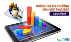 Thị trường miền Bắc tuần 13 năm 2016 (20 - 27/03/2016)