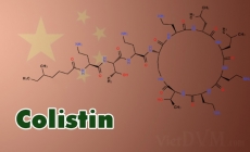 Tìm thấy gen kháng Colistin mới ở Trung Quốc