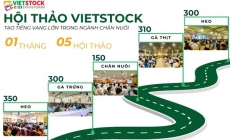 Chuỗi hội thảo chăn nuôi do VIETSTOCK tổ chức tạo tiếng vang lớn