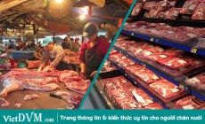 Một cú tát mạnh là chưa đủ cho chăn nuôi Việt Nam (P2)