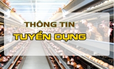 [Cập nhật] Công ty TNHH QL VietNam Agroresources tuyển dụng nhân sự