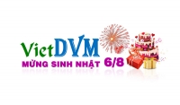 Thư mừng VietDVM sinh nhật 1 tuổi