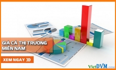 Giá cả thị trường miền Nam tuần 28 năm 2016 (04 - 10/07/2016)