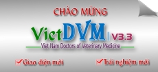 Thư mừng ra mắt VietDVM phiên bản V3.3