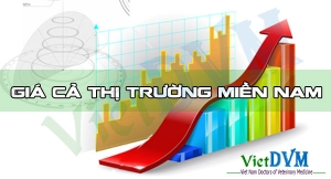 Giá cả thị trường miền Nam tuần 52 năm 2015 (20/12- 26/12)