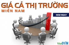 Thị trường miền Nam tuần 13 năm 2016 (20 - 27/03)