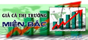 Giá cả thị trường miền Bắc tuần 50 năm 2015 (07/12 - 13/12)