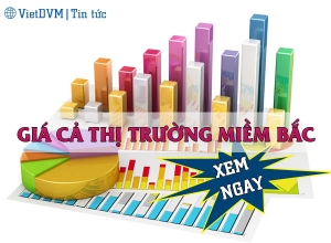 Giá cả thị trường miền Bắc tuần 04 năm 2016 (18 - 24/01/2016)