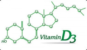 Nghiên cứu mới về bổ sung Vitamin D3 cho heo