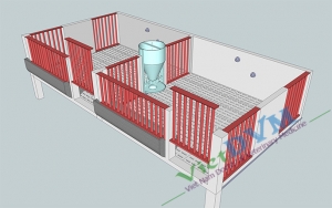 Mô hình chuồng sàn cho heo cai sữa