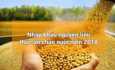Nhập khẩu thức ăn chăn nuôi và nguyên liệu của Việt Nam năm 2018 tăng 21,2%