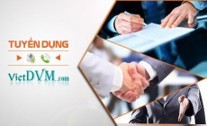 Công ty TNHH Sunjin Vina tuyển dụng NVKD vùng Thanh Hóa