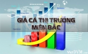 Giá cả thị trường miền Bắc tuần 38 năm 2016 (12 - 19/09/2016)