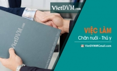 Công ty Thức ăn chăn nuôi Thiên Tân tuyển nhân sự