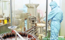 Bước tiến quan trọng trong sản xuất vaccine thú y tại Việt Nam