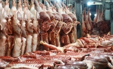 Tìm chỗ đứng trong ngành hàng thịt heo trị giá 18 tỷ USD