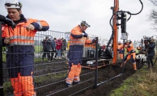 Đan Mạch dựng hàng rào ngăn lợn rừng dọc biên giới Đức